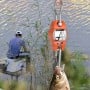 Pèse-bagages électronique orange accroché à un poisson avec un lac en arrière-plan et un pêcheur assis sur une glacière.