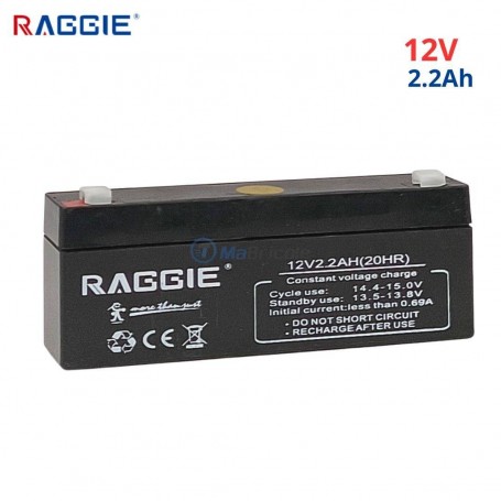 بطارية الرصاص الحمضية المغلقة القابلة لإعادة الشحن بجهد 12 فولط وسعة 2.2 أمبير/ساعة راجي