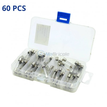 MaBricole | | Accessoires d'électricité | Kit de 60 Pcs d'assortiment de fusibles à tube de verre 1-30A 250V avec coffret
