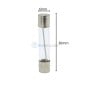 Fusible cylindrique à tube de verre transparent de 30 mm de long et 6 mm de diamètre avec extrémités métalliques.