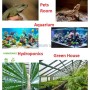 Montage de photos illustrant un lézard, un aquarium coloré, une culture hydroponique et une serre
