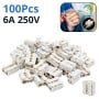 Lot de 100 connecteurs rapides blancs à 2 broches pour câbles électriques jusqu'à 250V 6A