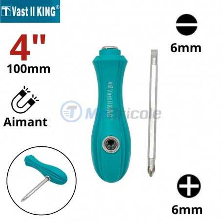 Tournevis réversible avec manche ergonomique turquoise, embouts plats et Philips de 6mm, longueur 100 mm, avec aimant.