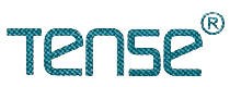 TENSE